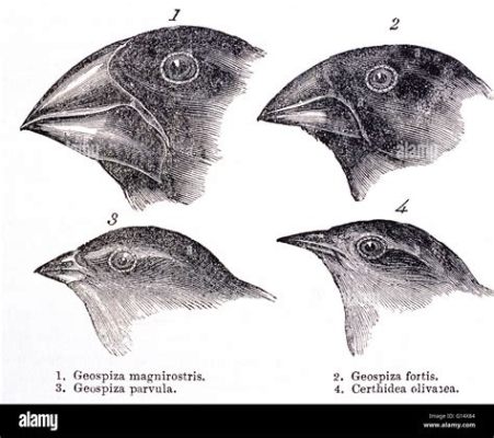  Galapagos: A Novel – Un Voyage Ironique Vers L’Evolution et La Décadence Humaine